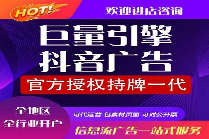 信息流广告代理项目案例分析